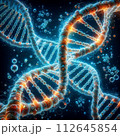 DNA 112645854