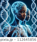 DNA 112645856