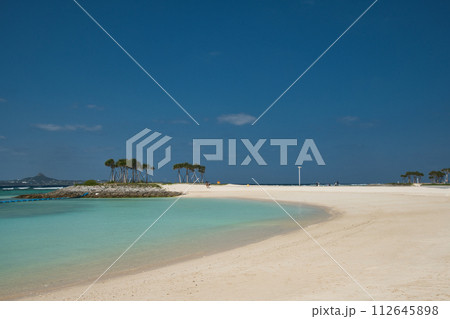 国営沖縄記念公園エメラルドビーチ【沖縄県国頭郡本部町】 国営沖縄記念公園エメラルドビーチ【沖縄県国頭郡本部町】 112645898