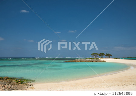 国営沖縄記念公園エメラルドビーチ【沖縄県国頭郡本部町】 112645899