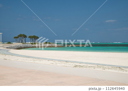 国営沖縄記念公園エメラルドビーチ【沖縄県国頭郡本部町】 112645940