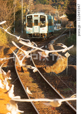 ユリカモメが飛び交う天浜線佐久米駅 112645947