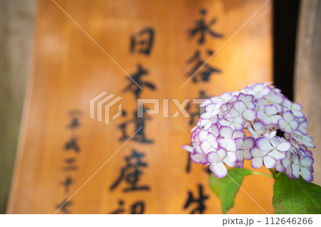 京都府宇治田原町湯屋谷空廣日本緑茶の祖と呼ばれる永谷宗円の生家の紫陽花を撮影 112646266