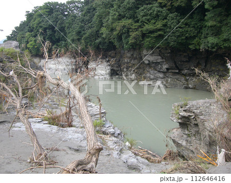 枯木のある風景 112646416