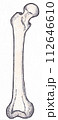 大腿骨 112646610