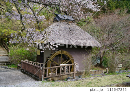 6558　山吹の里 112647253