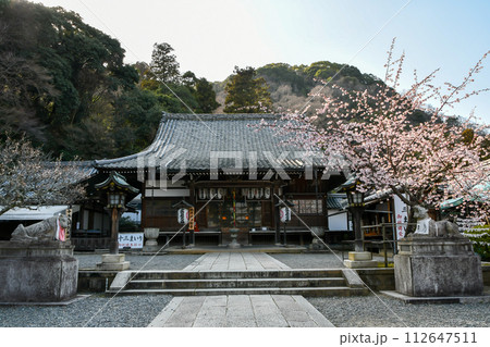 京都 嵐山 法輪寺と桜 112647511
