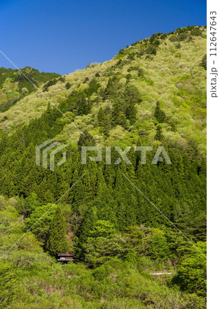 爽やかな青空と鮮やかな新緑が美しい初夏の風景 爽やかな青空と鮮やかな新緑が美しい初夏の風景 112647643