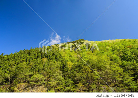 爽やかな青空と鮮やかな新緑が美しい初夏の風景 112647649