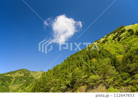 爽やかな青空と鮮やかな新緑が美しい初夏の風景 112647653
