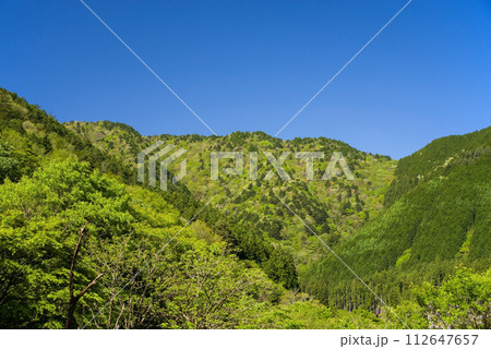 爽やかな青空と鮮やかな新緑が美しい初夏の風景 112647657