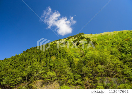 爽やかな青空と鮮やかな新緑が美しい初夏の風景 爽やかな青空と鮮やかな新緑が美しい初夏の風景 112647661