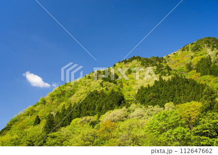 爽やかな青空と鮮やかな新緑が美しい初夏の風景 爽やかな青空と鮮やかな新緑が美しい初夏の風景 112647662