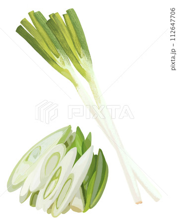 長ネギ（2本とカット） 112647706