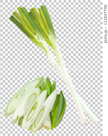長ネギ（2本とカット） 112647706