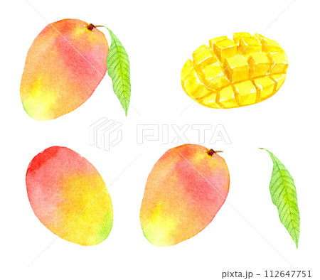 水彩で描いたマンゴーセット 水彩で描いたマンゴーセット 112647751