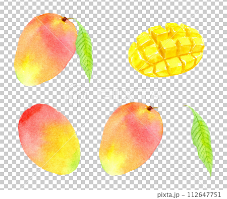 Watercolor mango set Watercolor mango set 112647751
