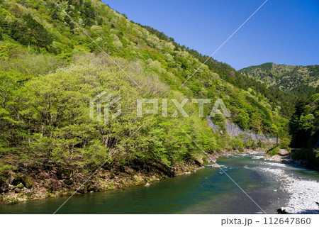 馬瀬川沿いの美しい新緑風景《岐阜県・馬瀬地方自然公園》 112647860