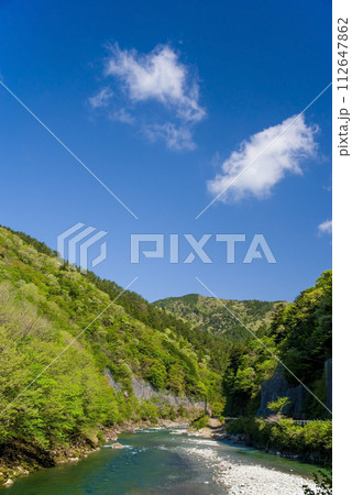 馬瀬川沿いの美しい新緑風景《岐阜県・馬瀬地方自然公園》 馬瀬川沿いの美しい新緑風景《岐阜県・馬瀬地方自然公園》 112647862