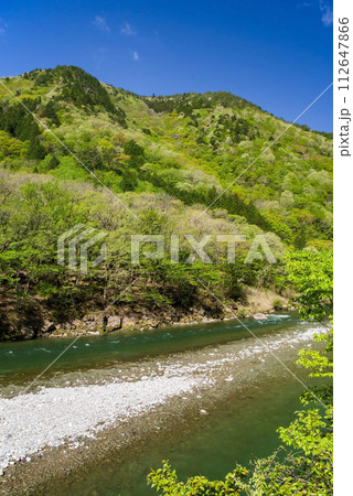 馬瀬川沿いの美しい新緑風景《岐阜県・馬瀬地方自然公園》 馬瀬川沿いの美しい新緑風景《岐阜県・馬瀬地方自然公園》 112647866