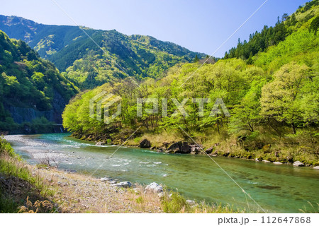 馬瀬川沿いの美しい新緑風景《岐阜県・馬瀬地方自然公園》 112647868