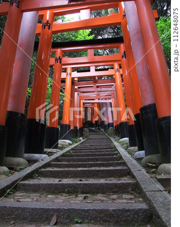伏見稲荷大社の参道の風景 112648075