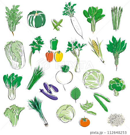 手描き線画の野菜セット カラー 手描き線画の野菜セット カラー 112648253