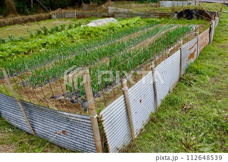 害獣よけの柵のある畑 害獣よけの柵のある畑 112648539