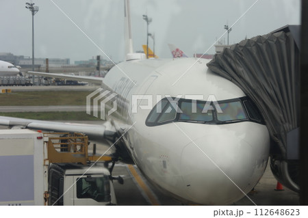飛行機 航空機 ひこうき 112648623