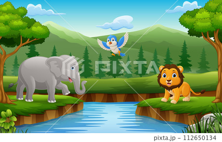 Cute wild animals cartoon in the jungle 112650134