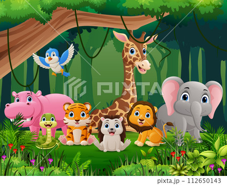 Cute wild animals cartoon in the jungle 112650143