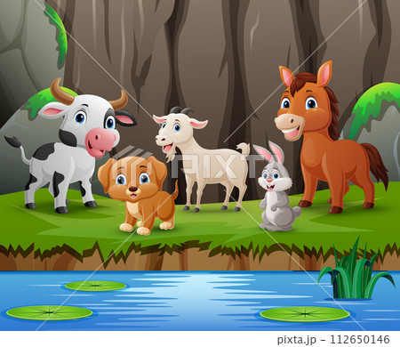 Cute farm animals cartoon in the jungle 112650146
