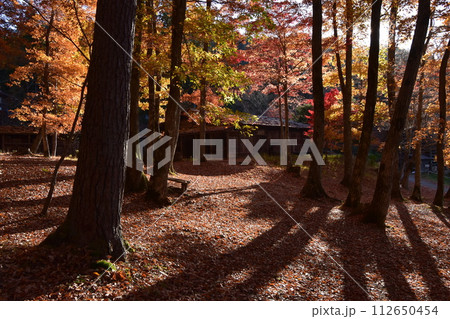 紅葉のピークを運変えた飛騨の里 古民家 紅葉のピークを運変えた飛騨の里 古民家 112650454