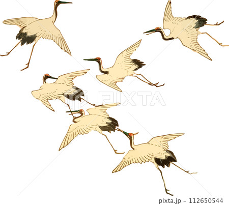 空を舞う鶴の群れ 空を舞う鶴の群れ 112650544