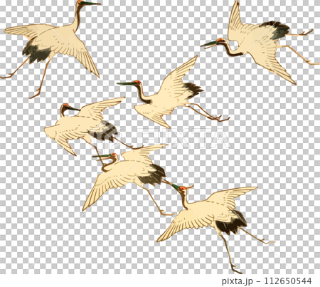 空を舞う鶴の群れ 空を舞う鶴の群れ 112650544