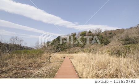 ススキのある風景 112650793