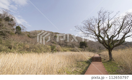 ススキのある風景 ススキのある風景 112650797