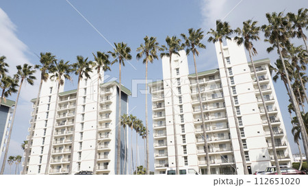 青空に映えるヤシの木 112651020