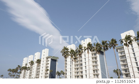 青空に映えるヤシの木 青空に映えるヤシの木 112651024