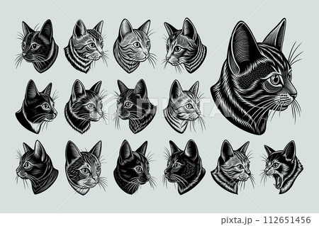 Illustration of profile side chartreux cat head tshirt design set 112651456