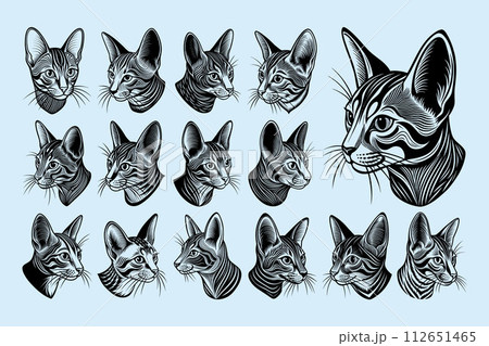 Detailed side chausie cat head illustration design bundle 112651465