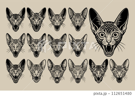 Detailed meowing cornish rex cat head illustration design bundle 112651480