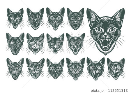 Meowing havana brown cat head illustration design set Meowing havana brown cat head illustration design set 112651518