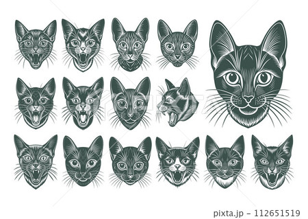 Portrait of havana brown cat face illustration design set Portrait of havana brown cat face illustration design set 112651519