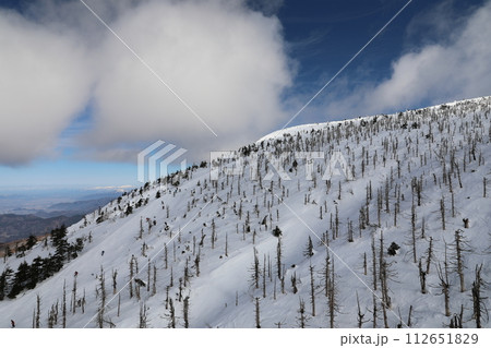 宮城県 宮城県仙台市 山形市 112651829