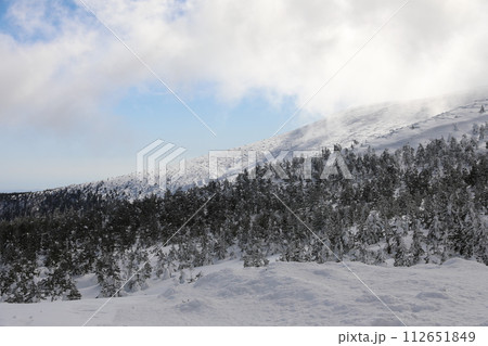 宮城県 宮城県仙台市 山形市 112651849