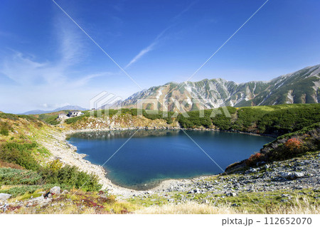 立山、高山植物の残るみくりが池 立山、高山植物の残るみくりが池 112652070