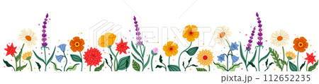 Flower spring. Summer banner, border floral, plant leaf and simple colorful daisy blossoms, rose and lavender garden. Forest graphic tropical abstract bush, frame design. Vector cover decorative set 112652235