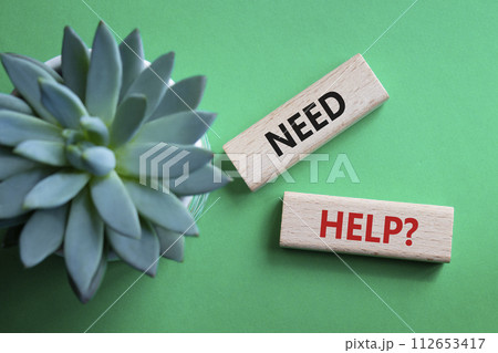 Need Help symbol. Concept word Need Help on wooden blocks. Beautiful green background with succulent plan. Business and Need Help concept. Copy space Need Help symbol. Concept word Need Help on wooden blocks. Beautiful green background with succulent plan. Business and Need Help concept. Copy space 112653417