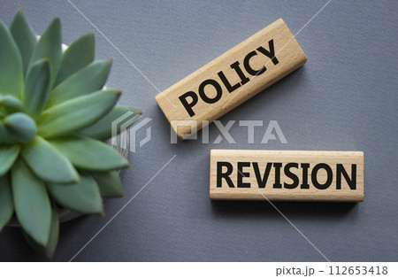 Policy revision symbol. Concept word Policy revision on wooden blocks. Beautiful grey background with succulent plant. Business and Policy revision concept. Copy space Policy revision symbol. Concept word Policy revision on wooden blocks. Beautiful grey background with succulent plant. Business and Policy revision concept. Copy space 112653418
